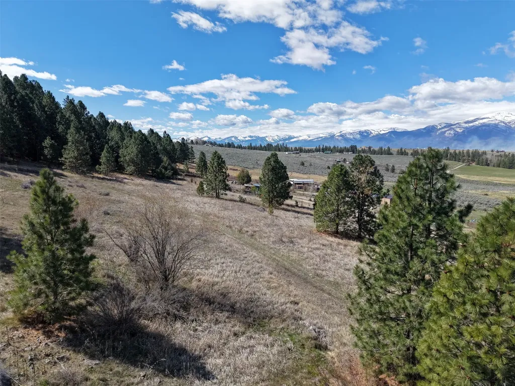 1233 Narrow Way Stevensville MT 59870