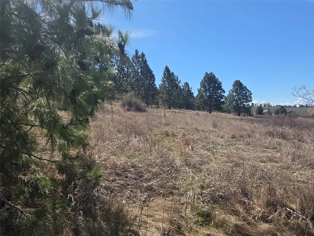 1233 Narrow Way Stevensville MT 59870