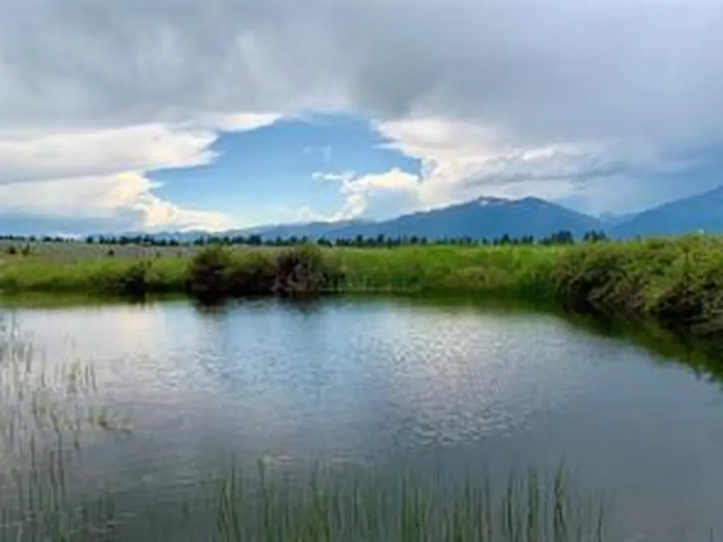 1233 Narrow Way Stevensville MT 59870