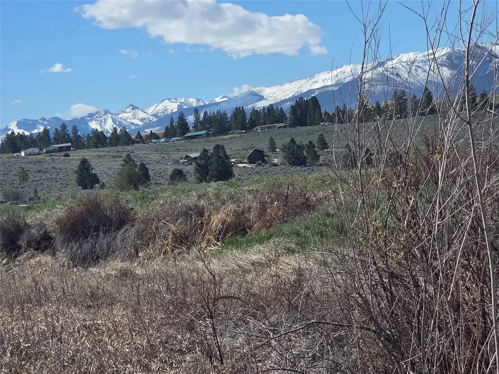 1233 Narrow Way Stevensville MT 59870