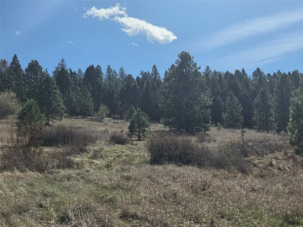1233 Narrow Way Stevensville MT 59870