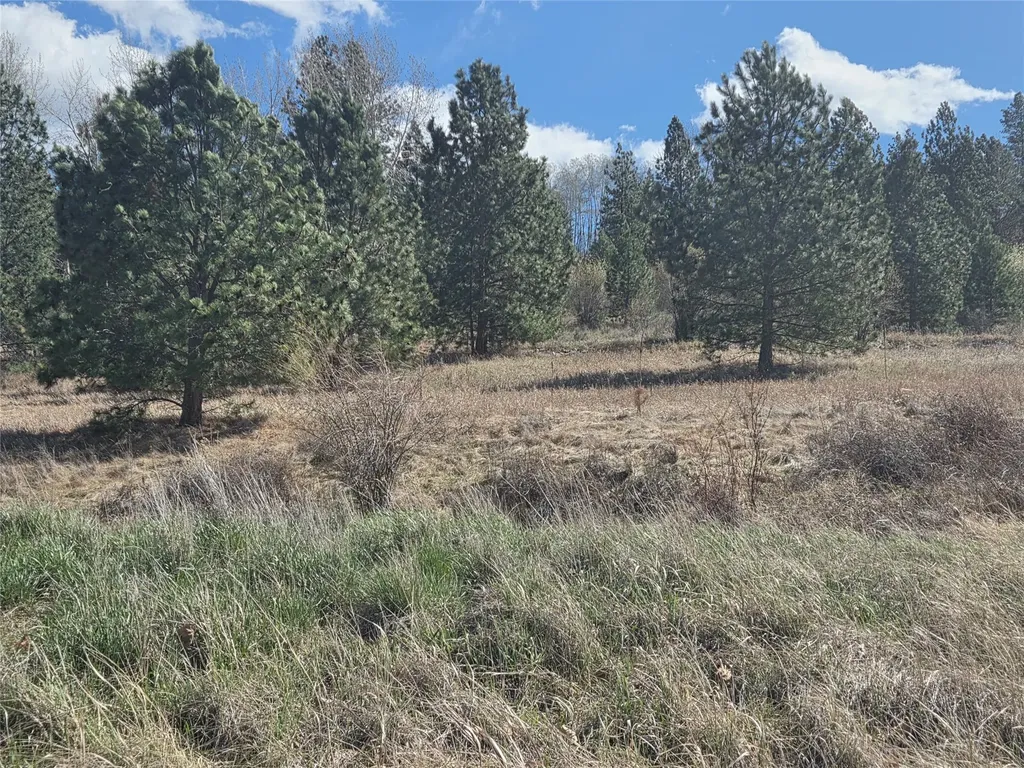 1233 Narrow Way Stevensville MT 59870