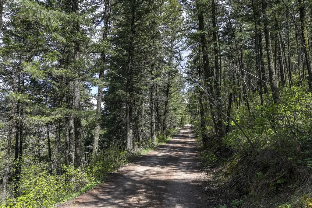 13275 Balsamroot Road Lolo MT 59847