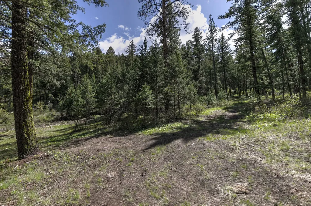 13275 Balsamroot Road Lolo MT 59847