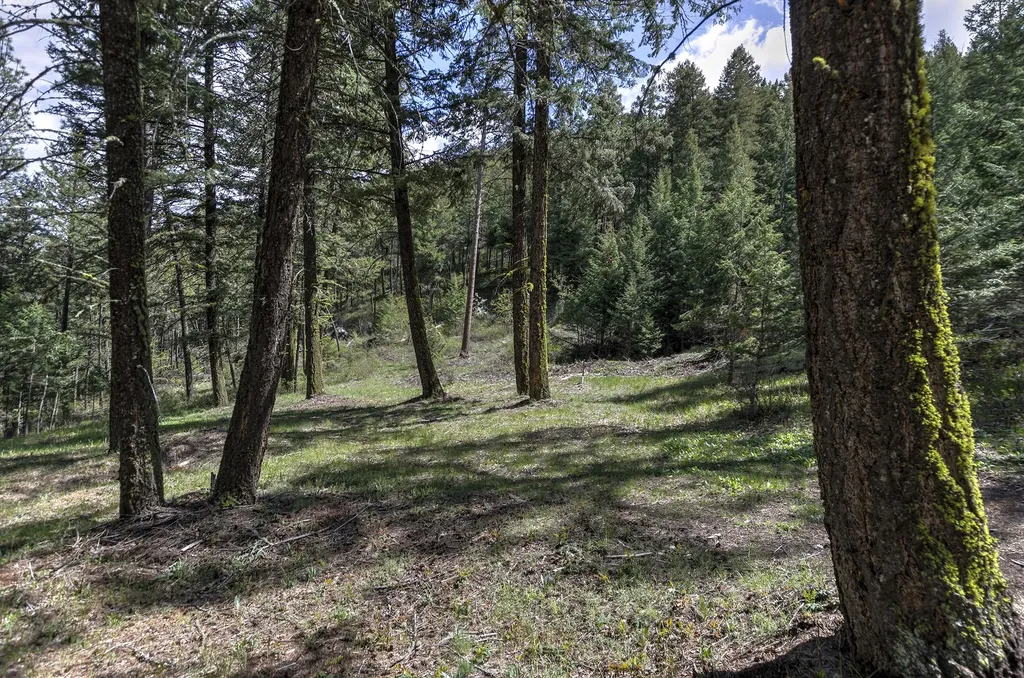 13275 Balsamroot Road Lolo MT 59847