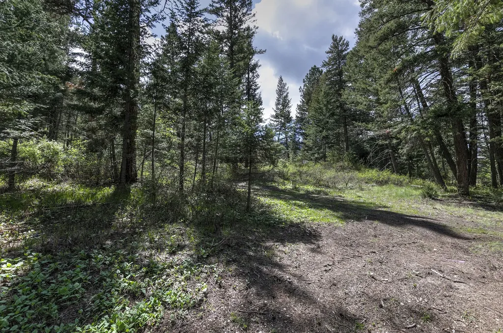 13275 Balsamroot Road Lolo MT 59847