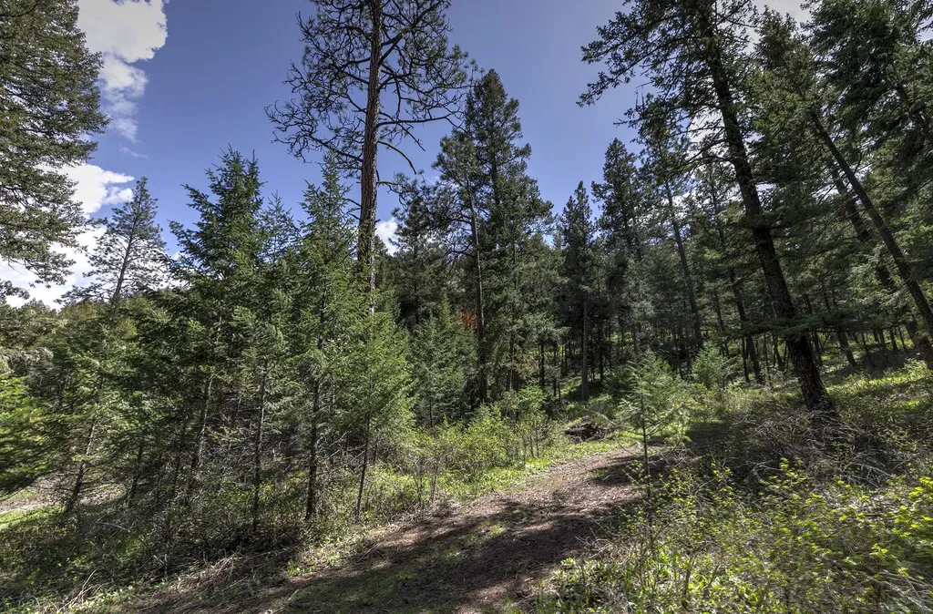 13275 Balsamroot Road Lolo MT 59847