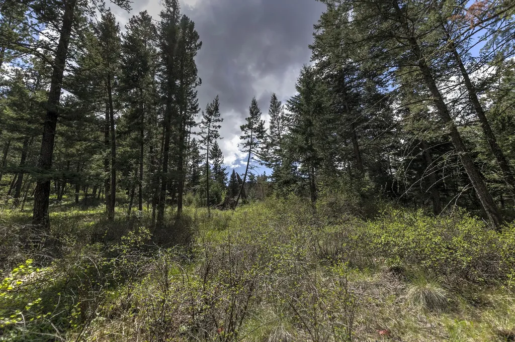 13275 Balsamroot Road Lolo MT 59847