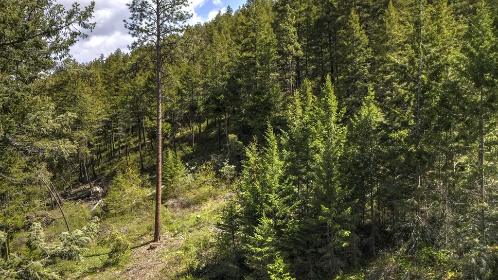 13275 Balsamroot Road Lolo MT 59847