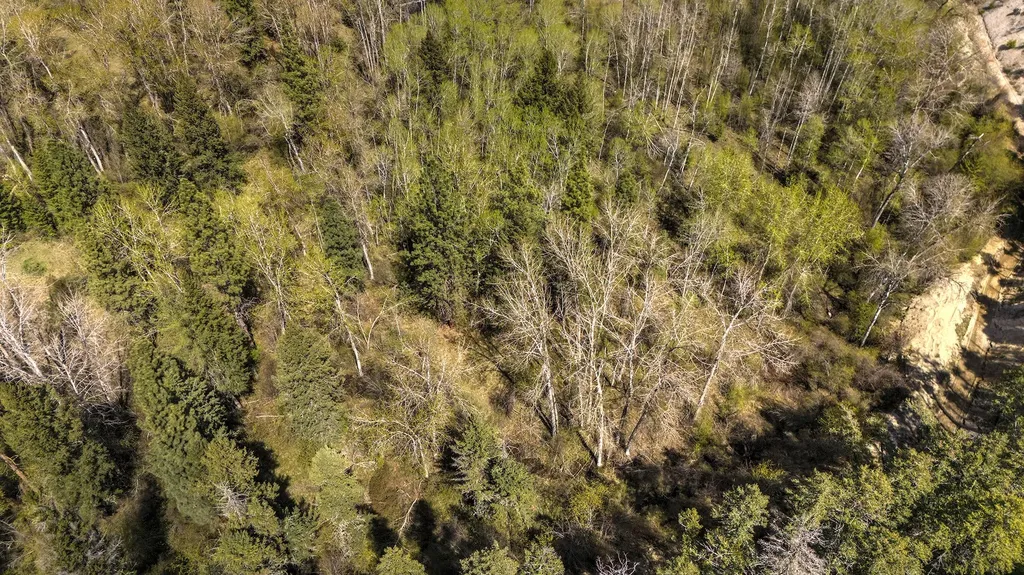 13275 Balsamroot Road Lolo MT 59847