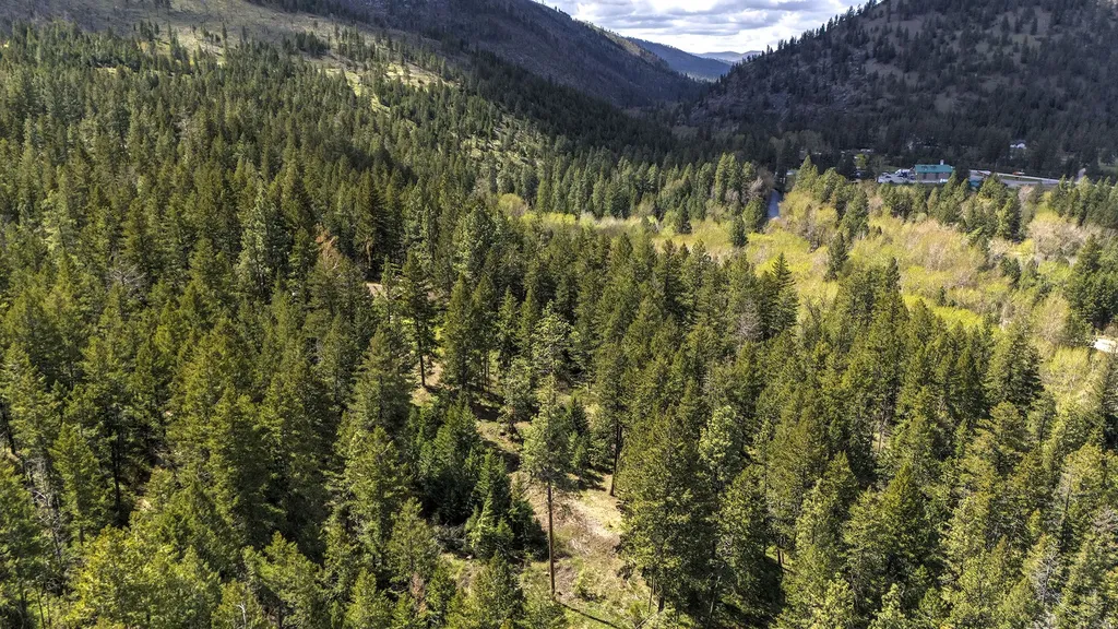 13275 Balsamroot Road Lolo MT 59847