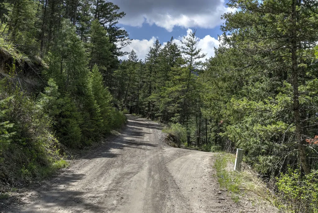 13275 Balsamroot Road Lolo MT 59847