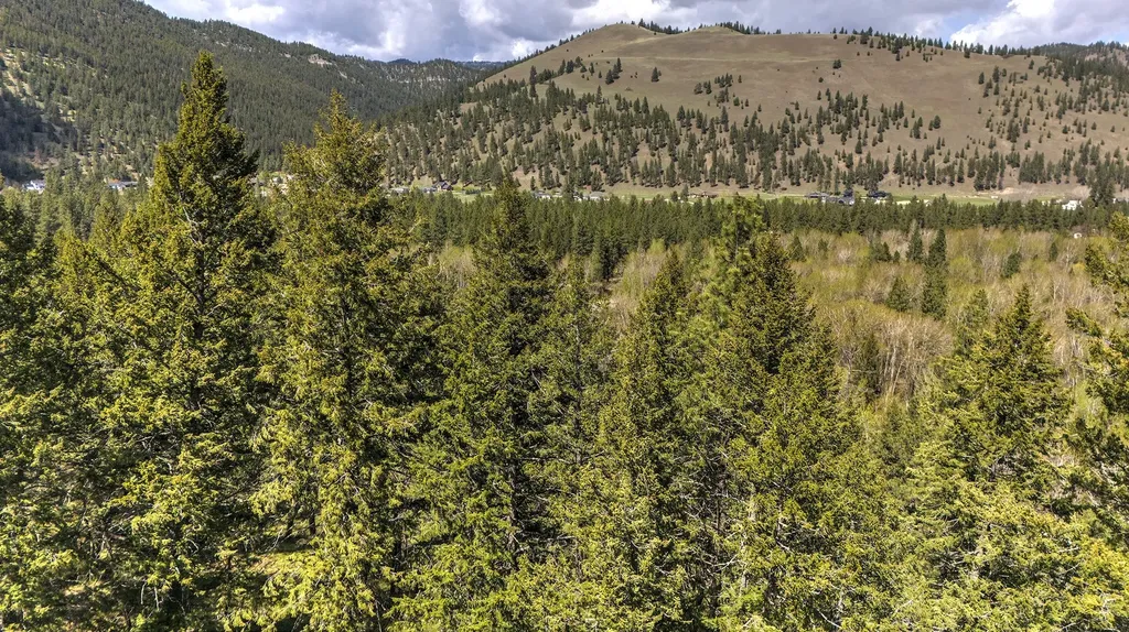 13275 Balsamroot Road Lolo MT 59847