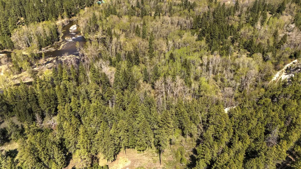 13275 Balsamroot Road Lolo MT 59847