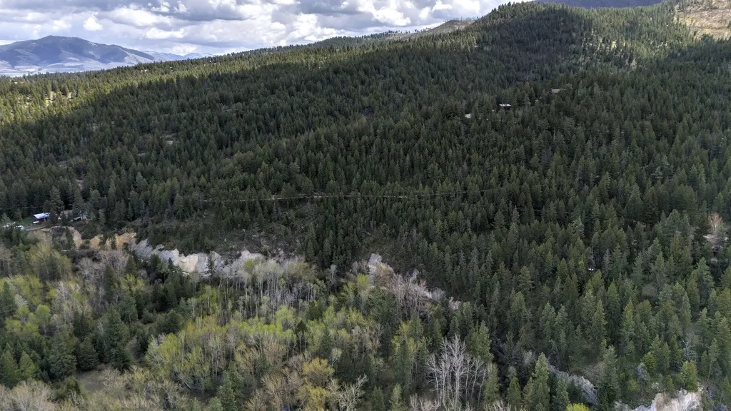 13275 Balsamroot Road Lolo MT 59847