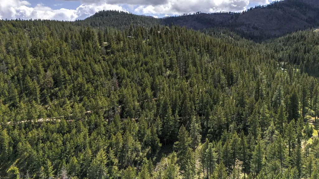 13275 Balsamroot Road Lolo MT 59847
