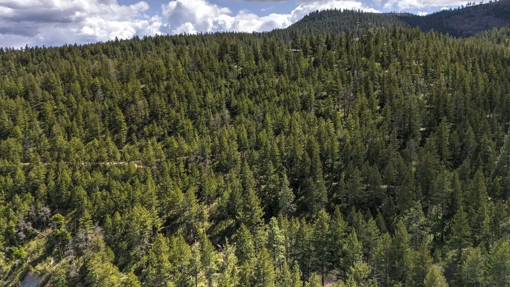 13275 Balsamroot Road Lolo MT 59847