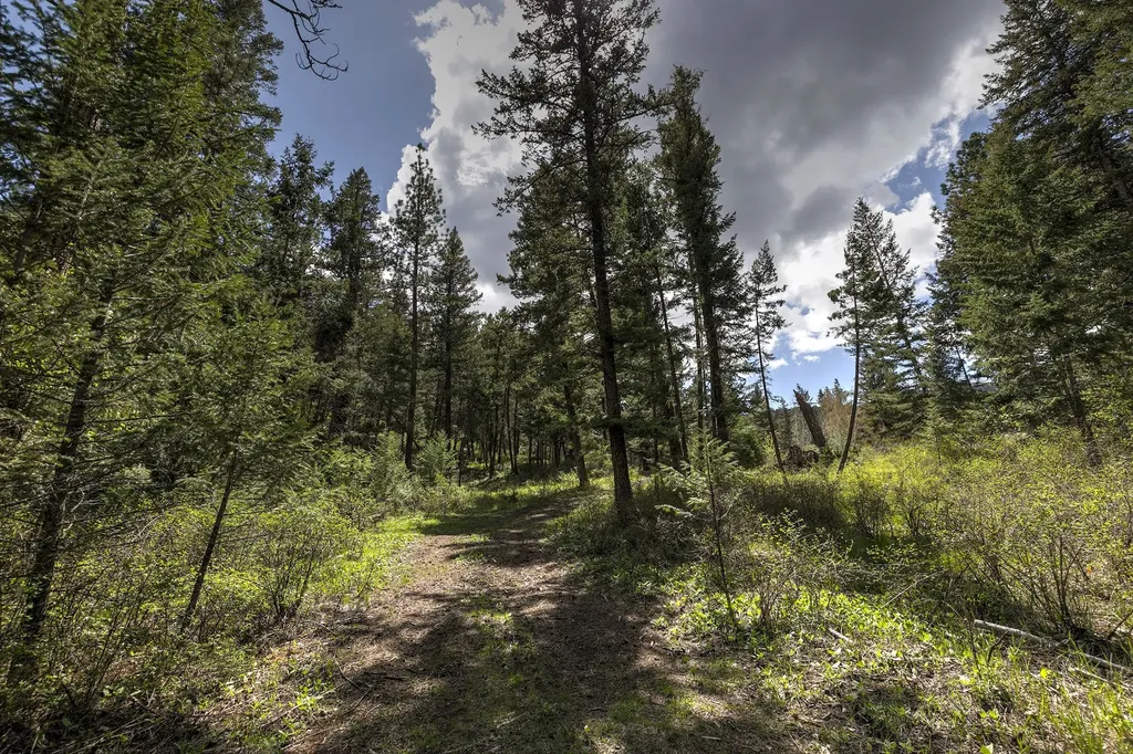 13275 Balsamroot Road Lolo MT 59847