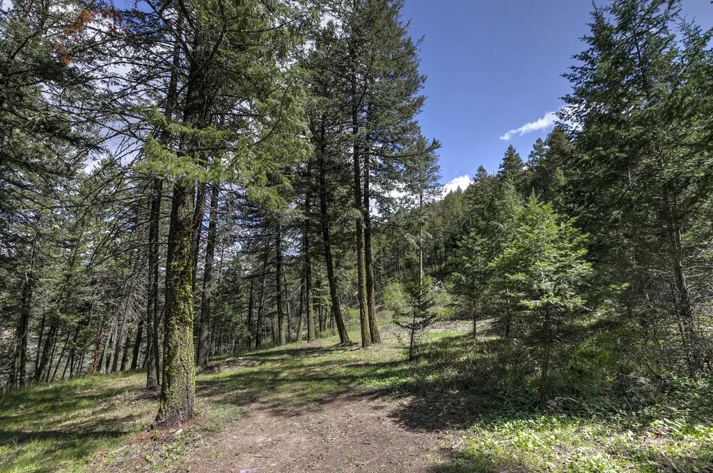 13275 Balsamroot Road Lolo MT 59847