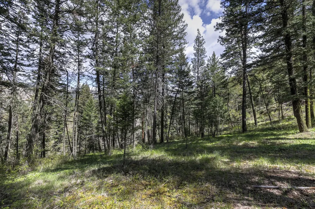 13275 Balsamroot Road Lolo MT 59847