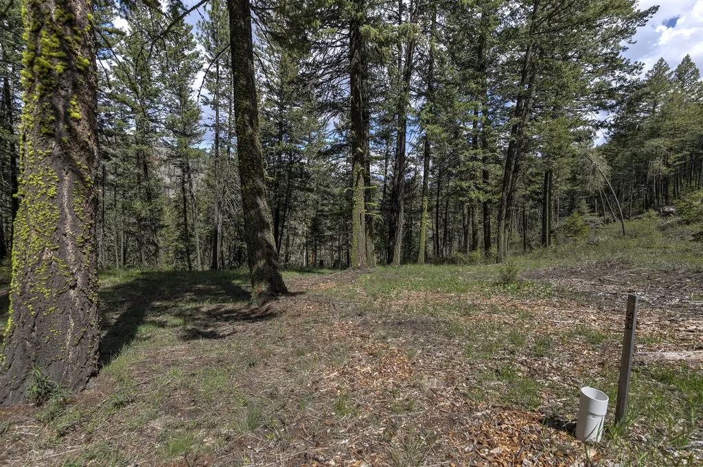 13275 Balsamroot Road Lolo MT 59847