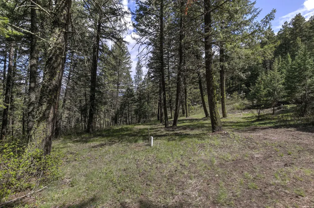 13275 Balsamroot Road Lolo MT 59847