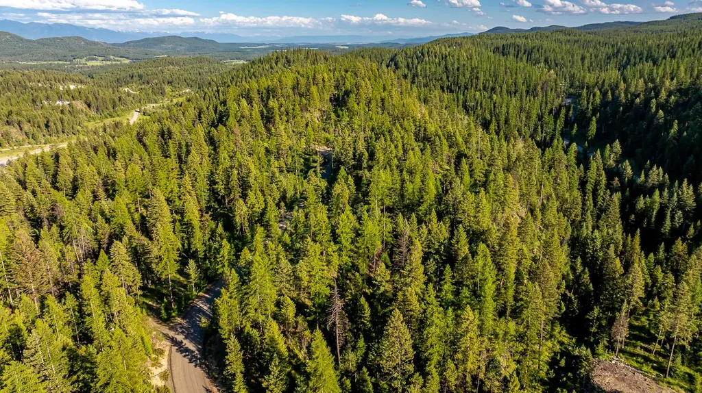 300 Salish Mountains Drive Whitefish MT 59937