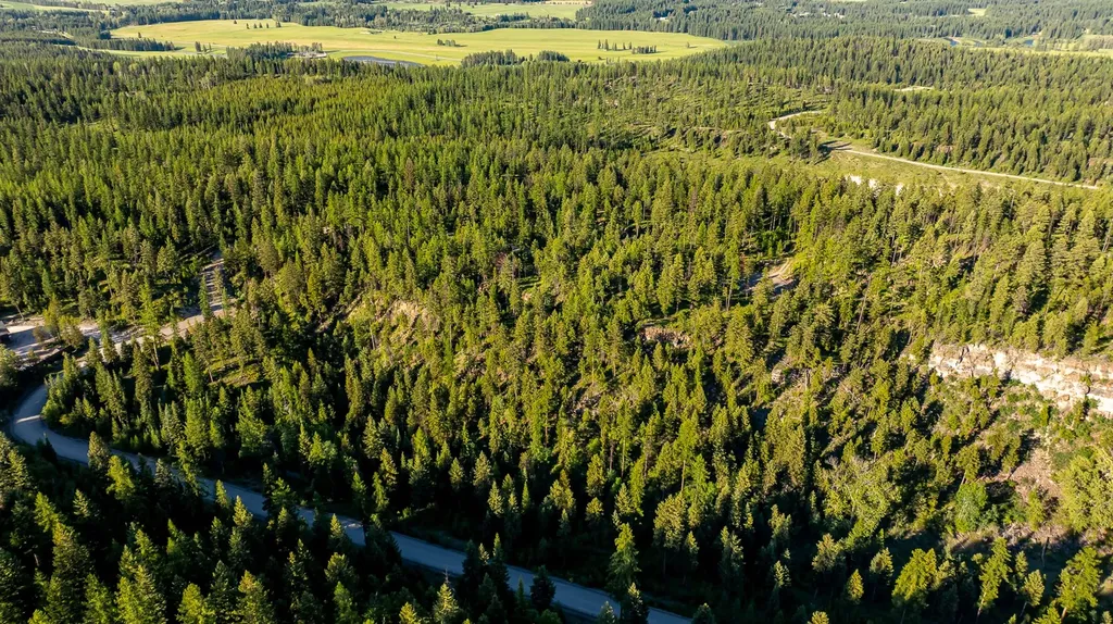 300 Salish Mountains Drive Whitefish MT 59937
