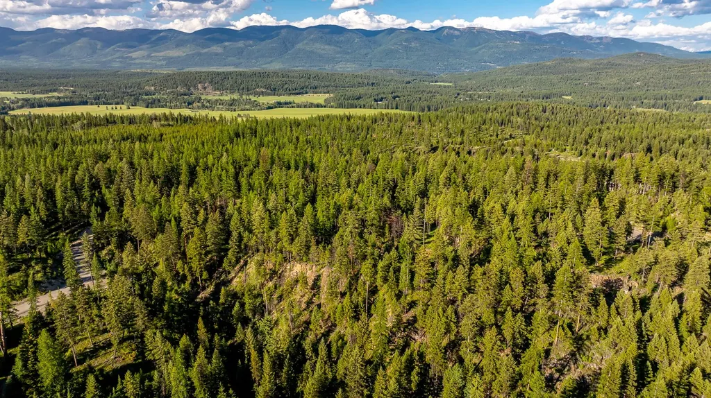 300 Salish Mountains Drive Whitefish MT 59937