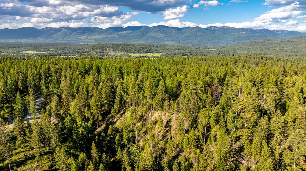 300 Salish Mountains Drive Whitefish MT 59937
