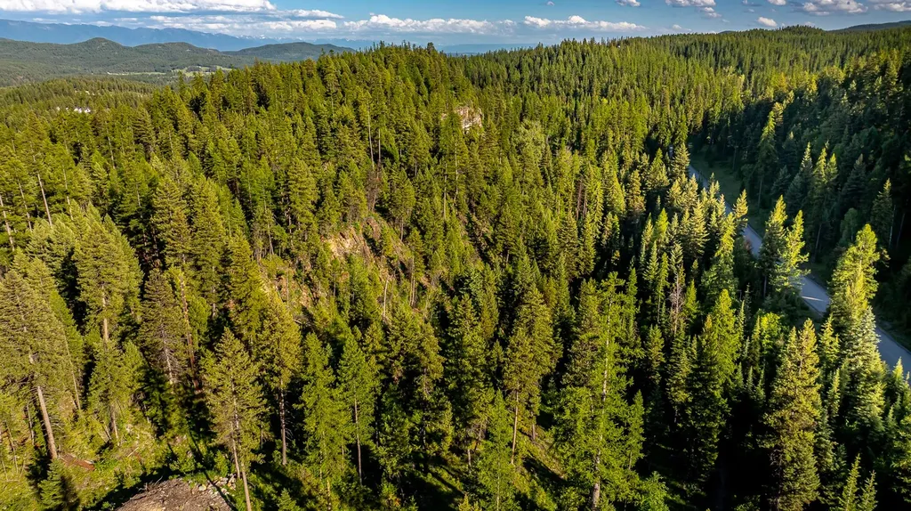 300 Salish Mountains Drive Whitefish MT 59937