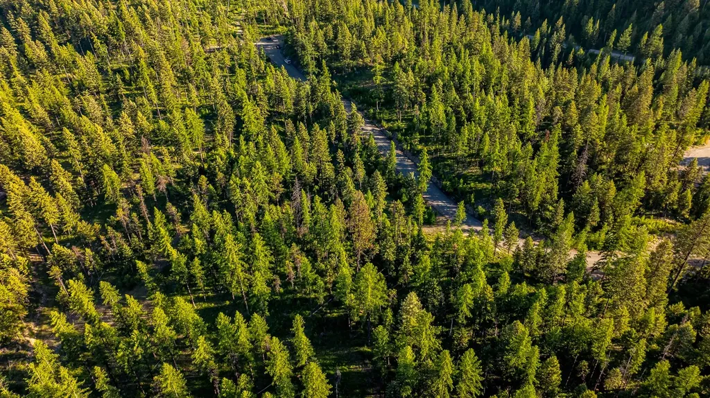 300 Salish Mountains Drive Whitefish MT 59937