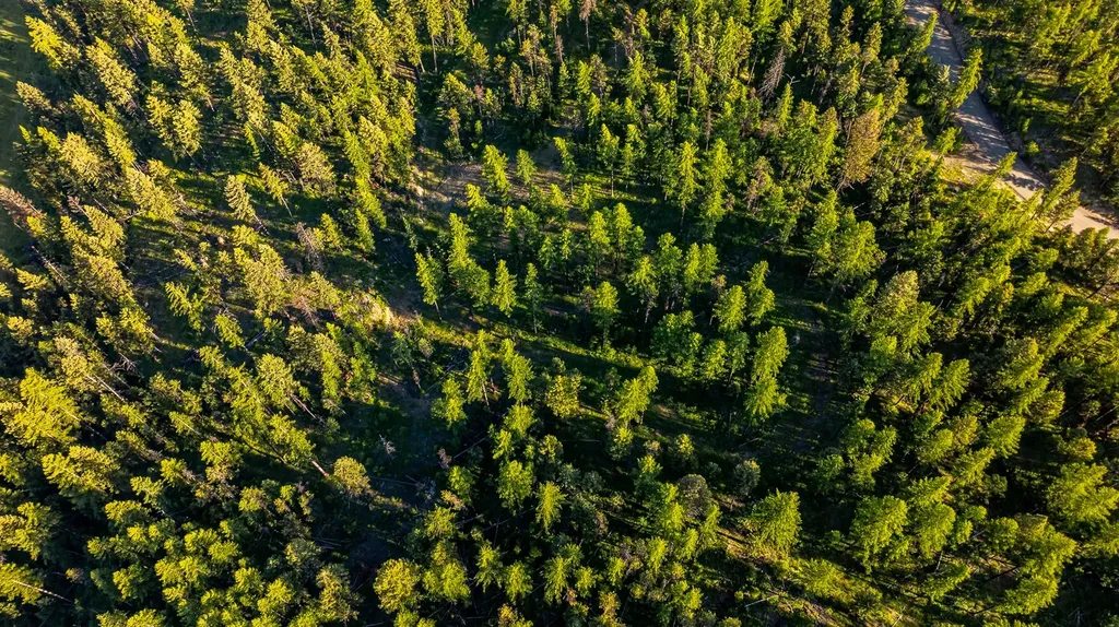 300 Salish Mountains Drive Whitefish MT 59937