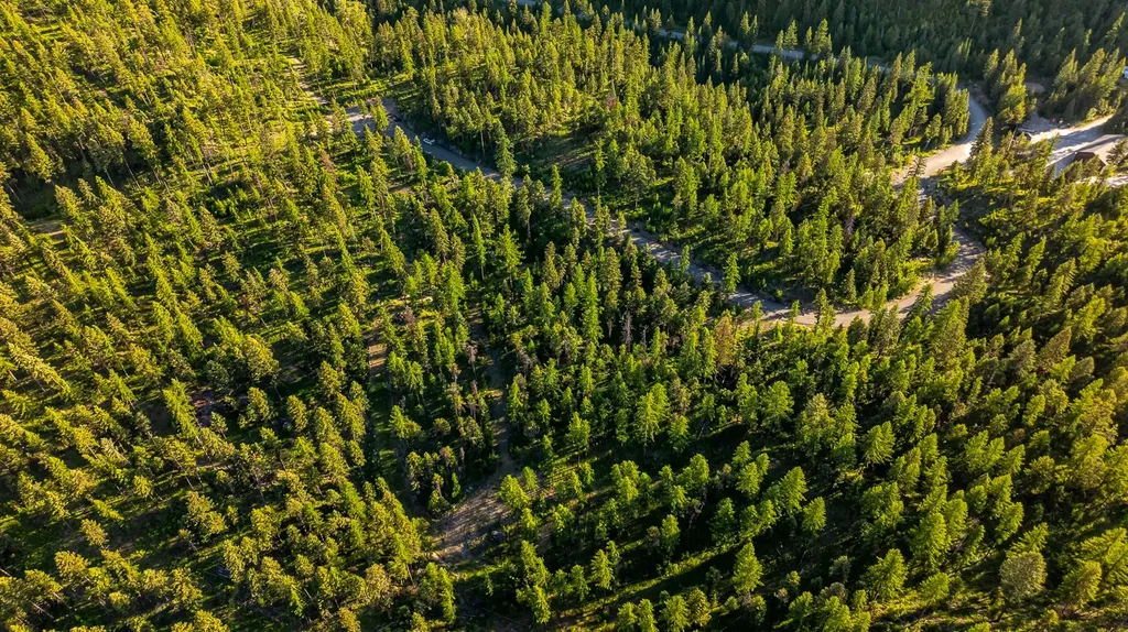 300 Salish Mountains Drive Whitefish MT 59937