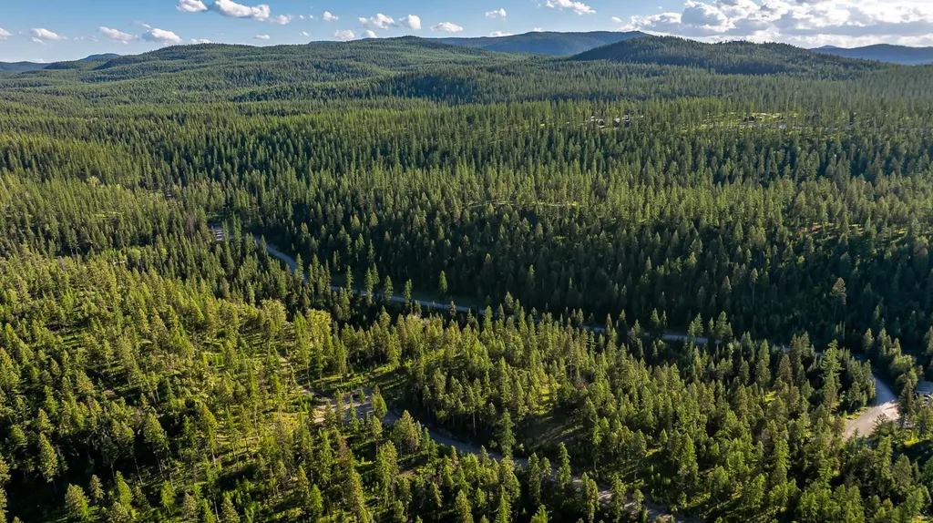 300 Salish Mountains Drive Whitefish MT 59937