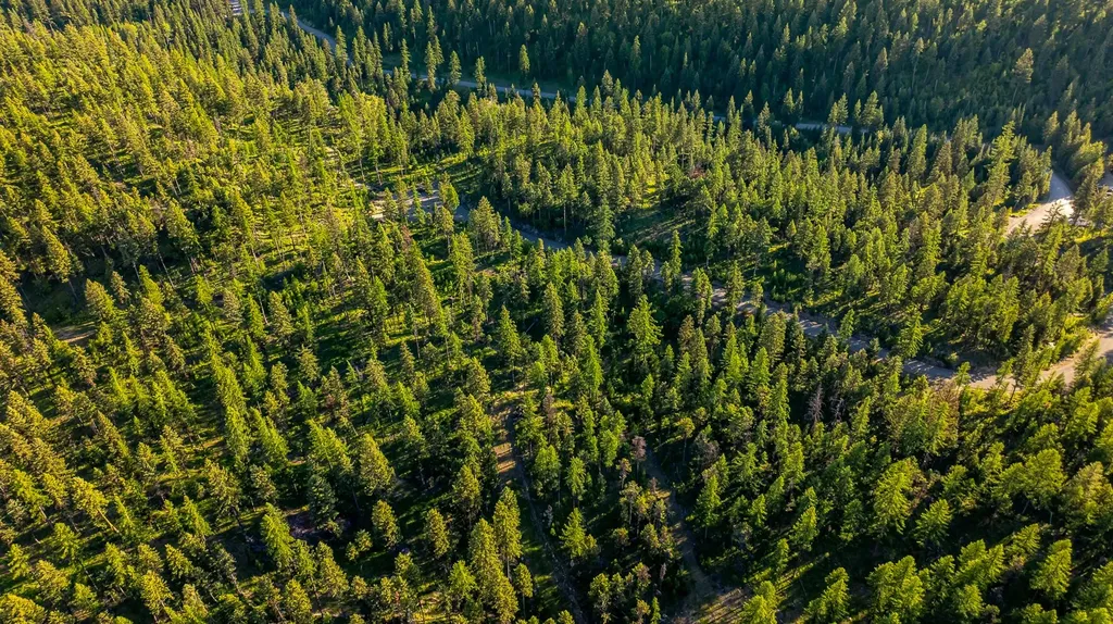 300 Salish Mountains Drive Whitefish MT 59937