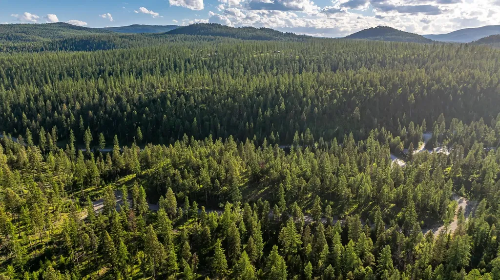 300 Salish Mountains Drive Whitefish MT 59937