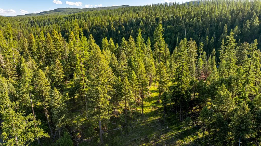 300 Salish Mountains Drive Whitefish MT 59937