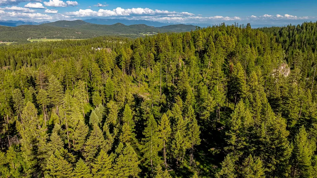 300 Salish Mountains Drive Whitefish MT 59937
