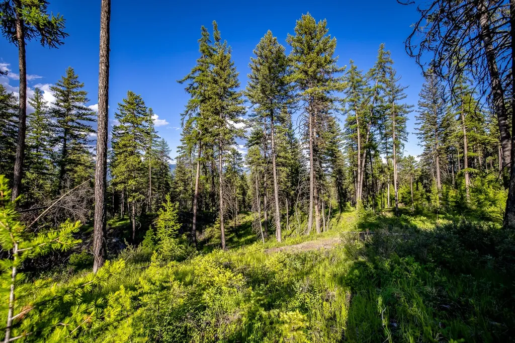300 Salish Mountains Drive Whitefish MT 59937