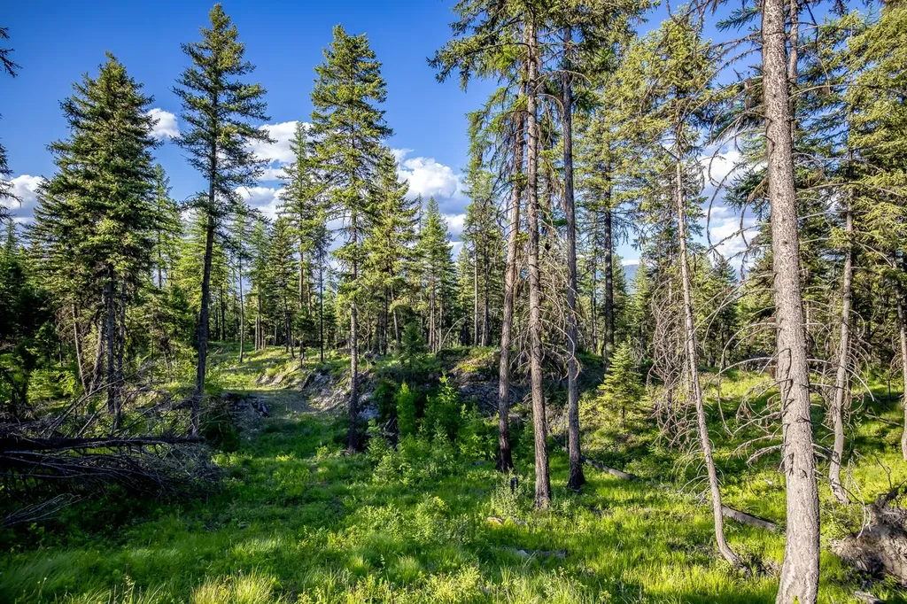 300 Salish Mountains Drive Whitefish MT 59937