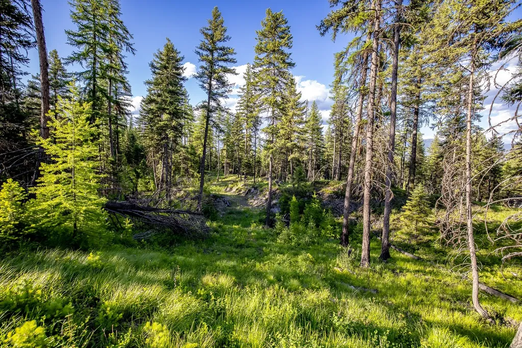300 Salish Mountains Drive Whitefish MT 59937