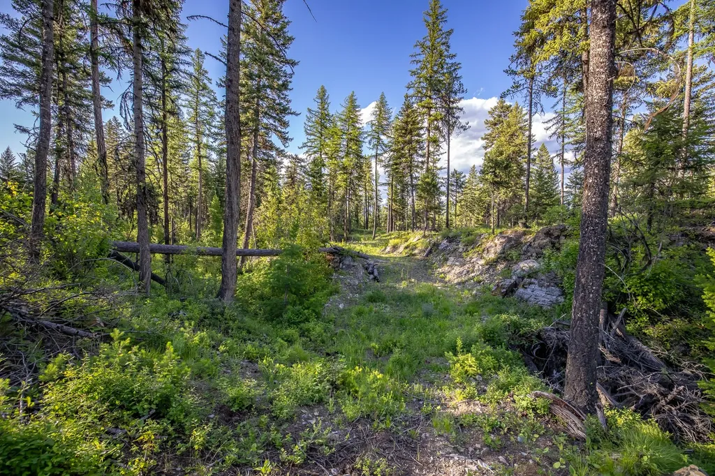 300 Salish Mountains Drive Whitefish MT 59937