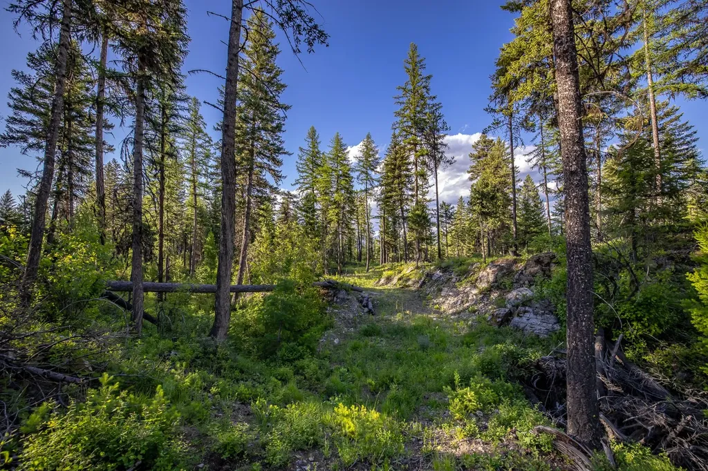 300 Salish Mountains Drive Whitefish MT 59937