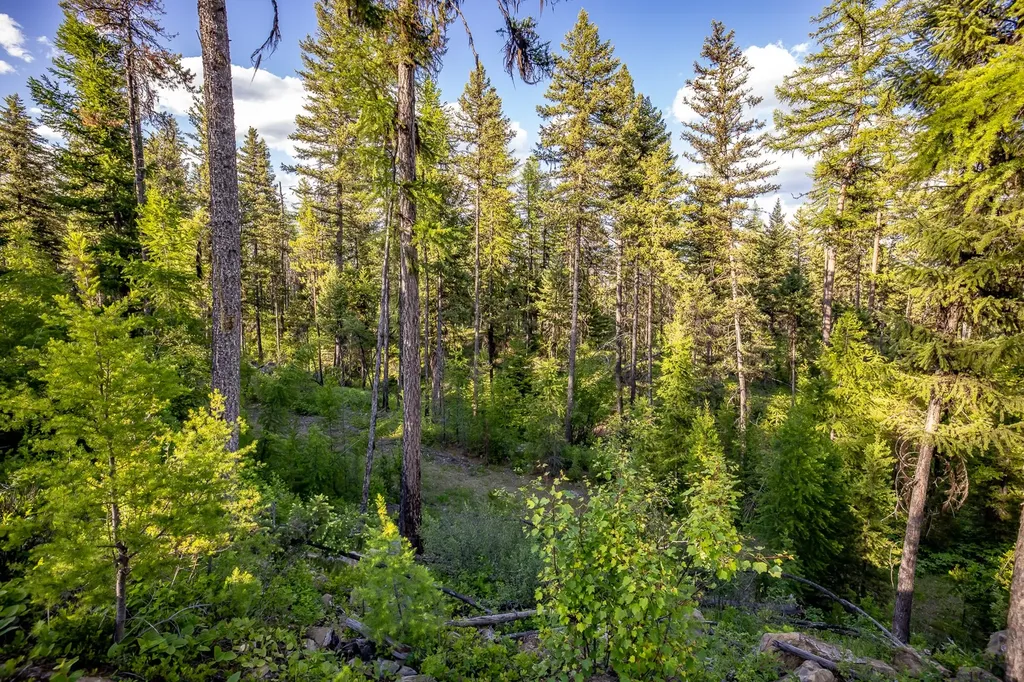 300 Salish Mountains Drive Whitefish MT 59937
