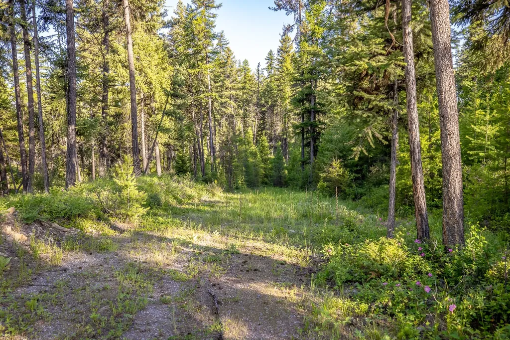 300 Salish Mountains Drive Whitefish MT 59937