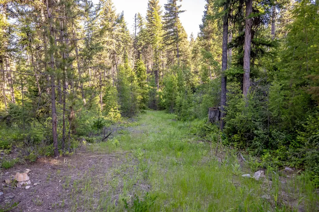 300 Salish Mountains Drive Whitefish MT 59937