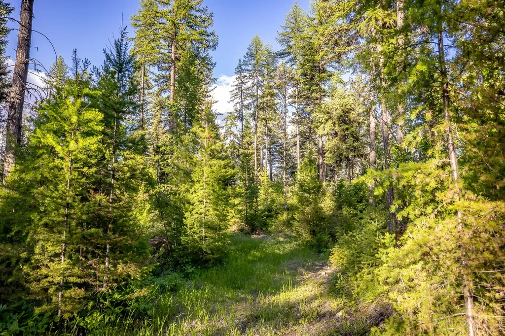 300 Salish Mountains Drive Whitefish MT 59937