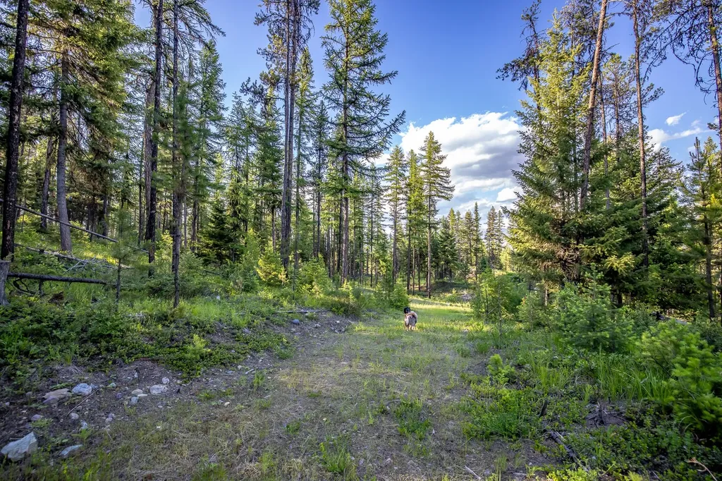 300 Salish Mountains Drive Whitefish MT 59937