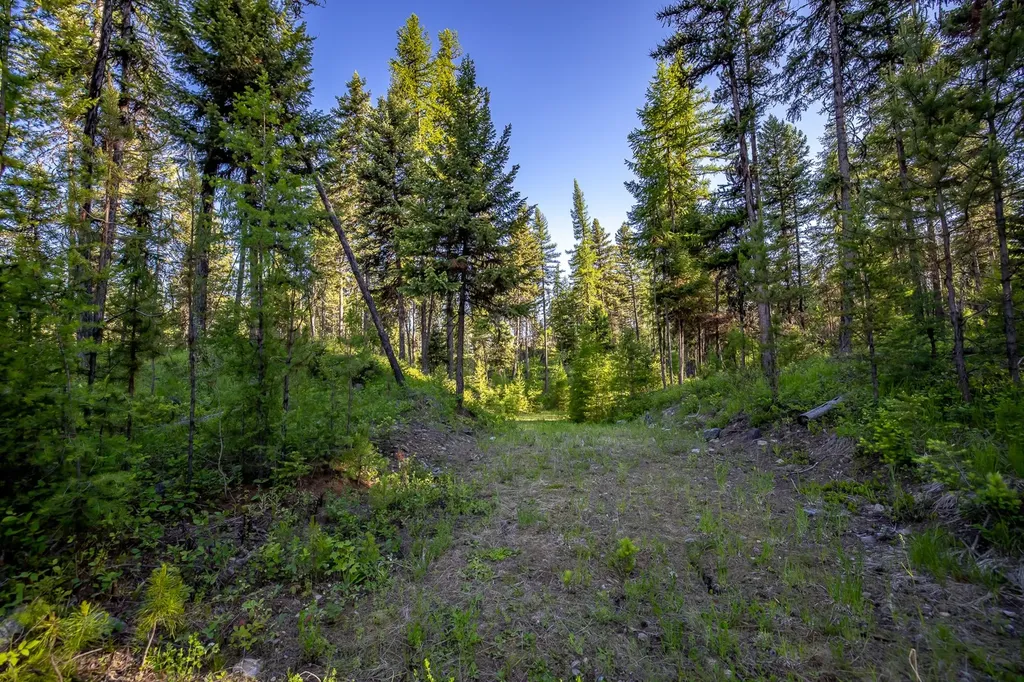 300 Salish Mountains Drive Whitefish MT 59937